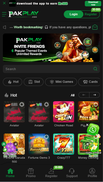 PAKPLAY GAME