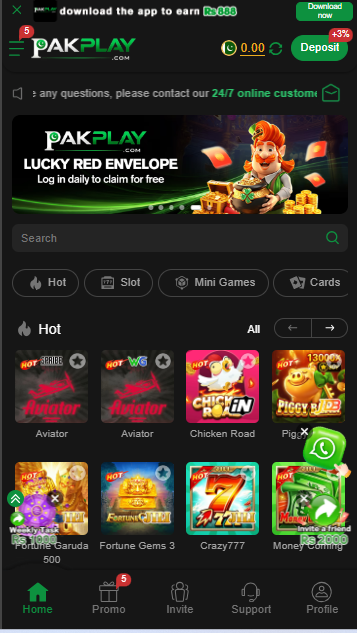 PAKPLAY GAME