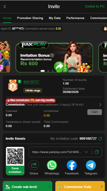 PAKPLAY GAME