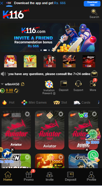 K116 GAME